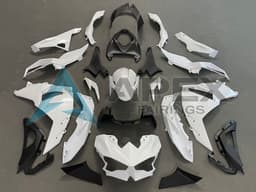 White Black - Kawasaki Ninja500 / EX500 (2024-2025) ABS Fairings | Apex Fairings — view 1