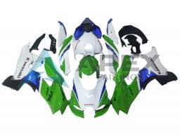 White Green Blue Black - Kawasaki ZX-10R (2021-2025) ABS Fairings | Apex Fairings — view 1